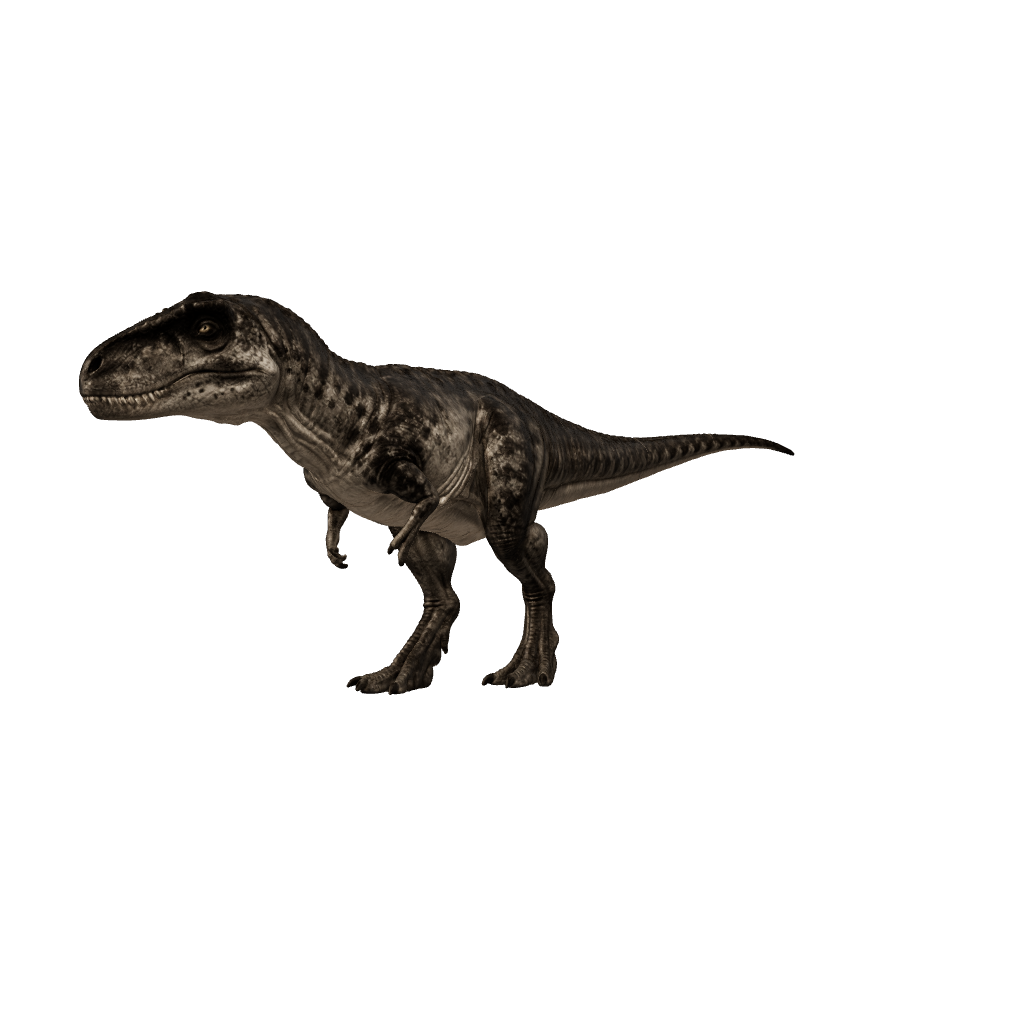 Albertosaurus 3D-Modell – Vorschau