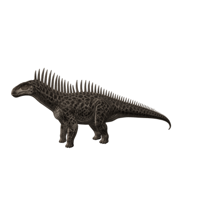 Amargasaurus 3D-Modell – markanter Sauropode mit verlängerten Dornfortsätzen