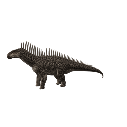 Amargasaurus 3D-Modell – markanter Sauropode mit verlängerten Dornfortsätzen
