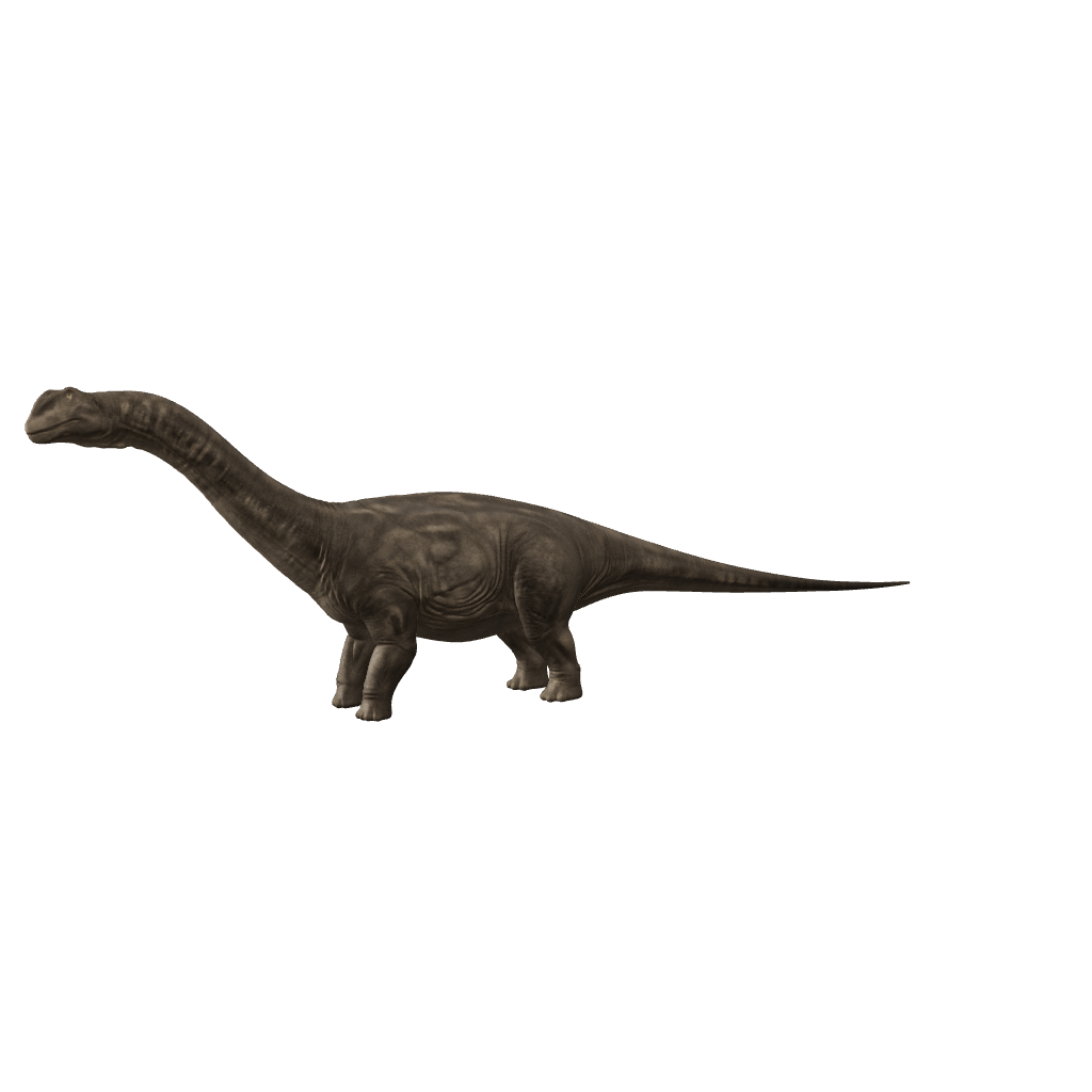 Apatosaurus 3D-Modell – Vorschaubild