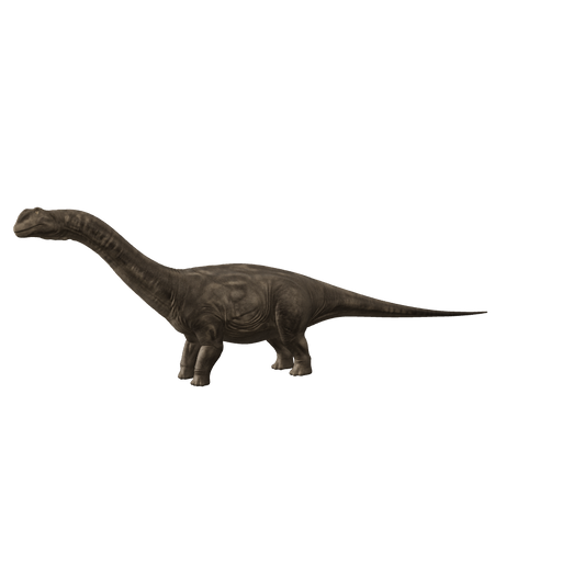 Apatosaurus 3D-Modell – Vorschaubild