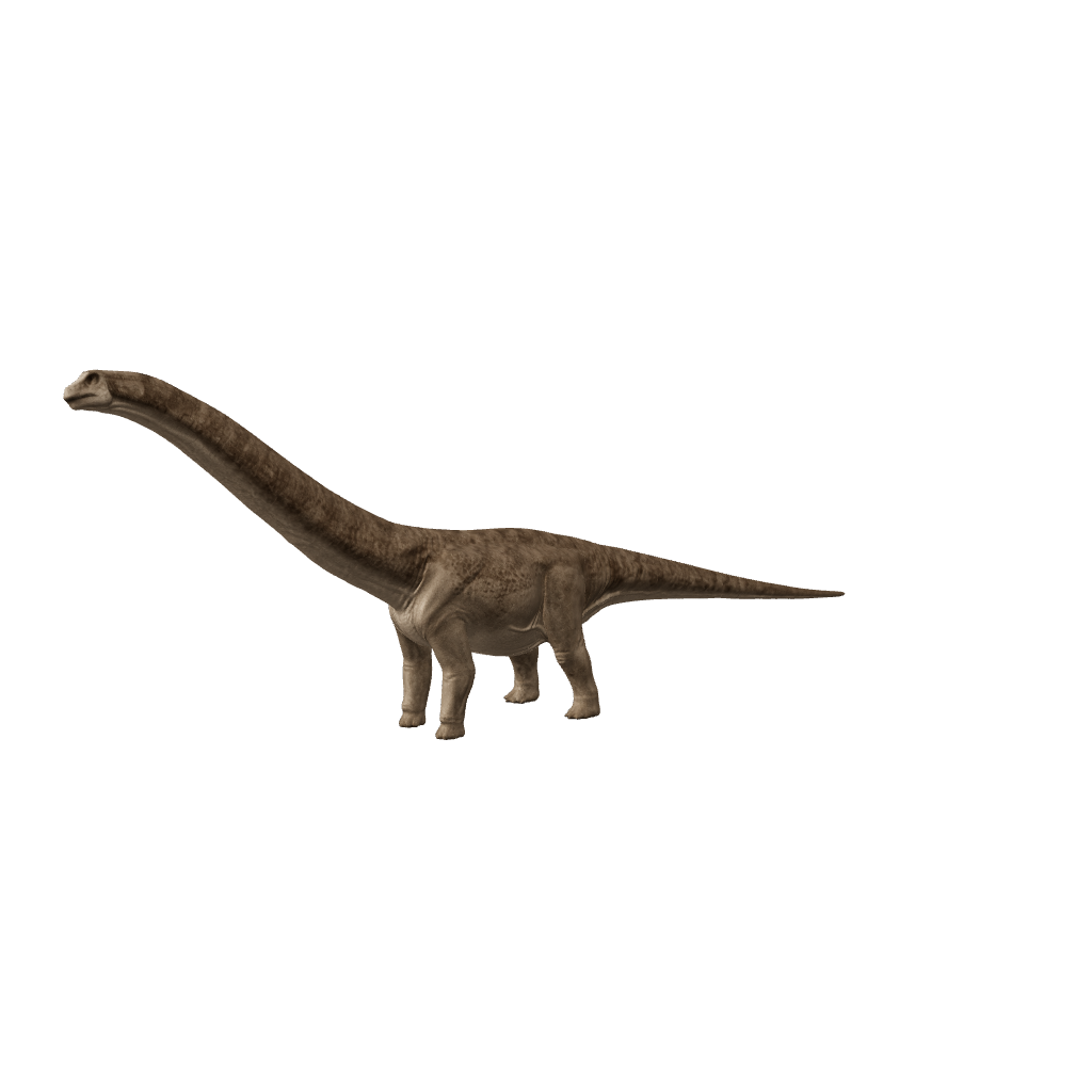 Argentinosaurus 3D-Modell – Vorschaubild