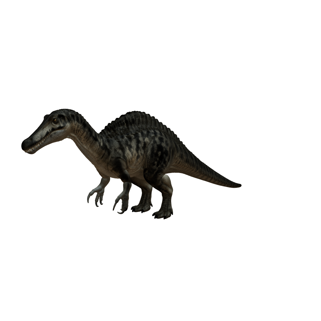 Baryonyx 3D-Modell – Vorschau