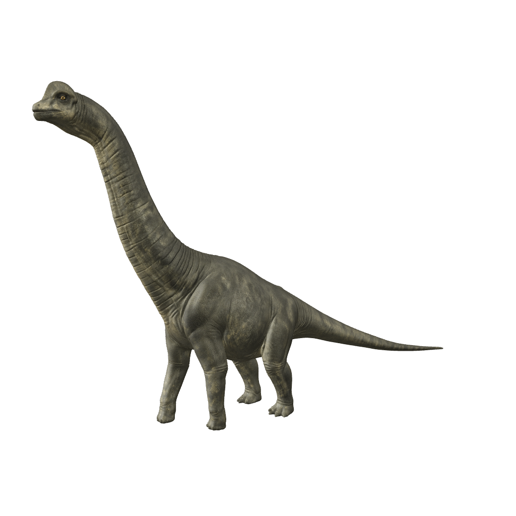 Brachiosaurus 3D-Modell – Vorschaubild
