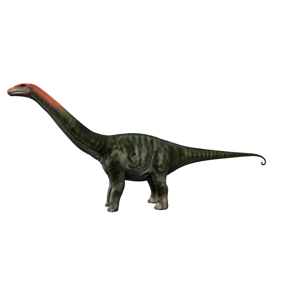Brontosaurus 3D-Modell – Vorschaubild