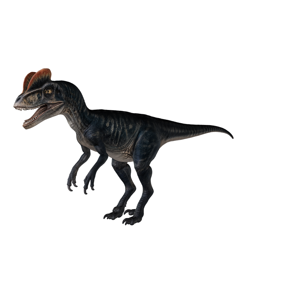 Dilophosaurus 3D-Modell – Vorschau