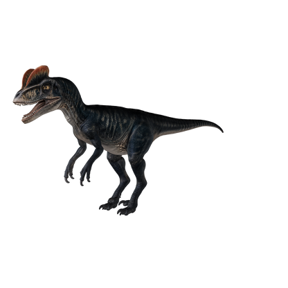Dilophosaurus 3D-Modell – Vorschau