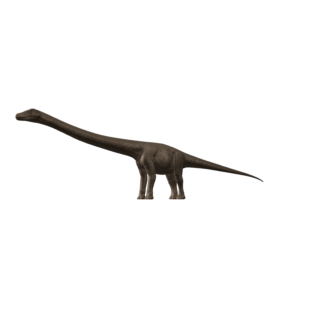 Diplodocus 3D-Modell – Vorschaubild