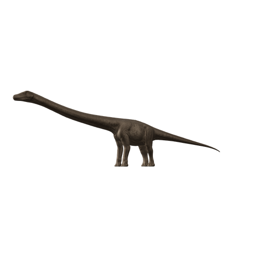 Diplodocus 3D-Modell – Vorschaubild