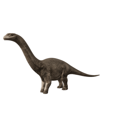 Europasaurus 3D-Modell – kleiner Sauropode aus dem späten Jura