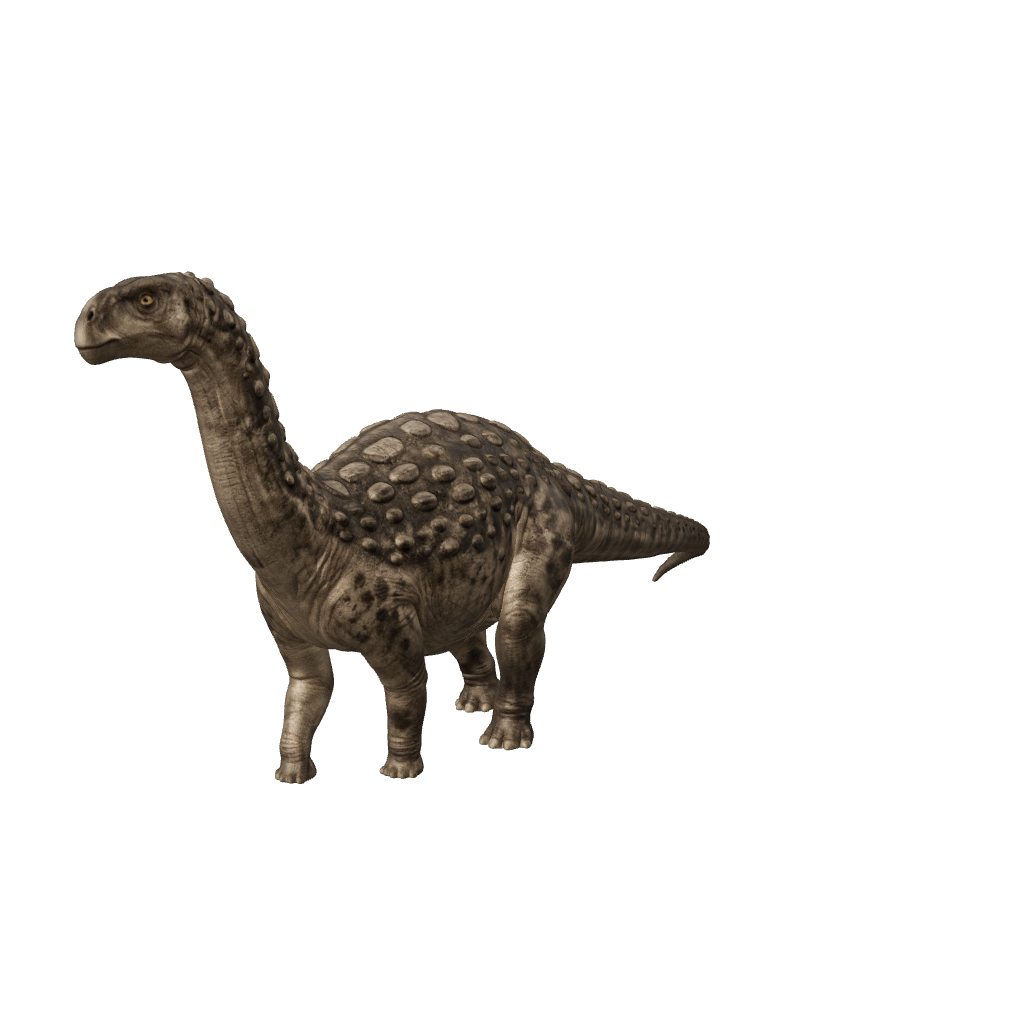 Saltasaurus 3D-Modell – gepanzerter Titanosaurier aus der späten Kreide
