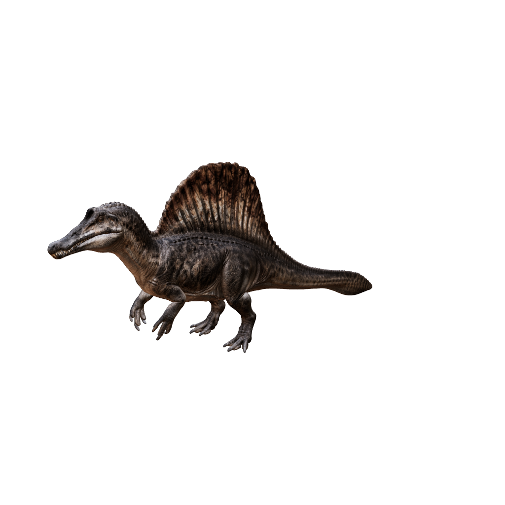 Spinosaurus 3D-Modell – Vorschau