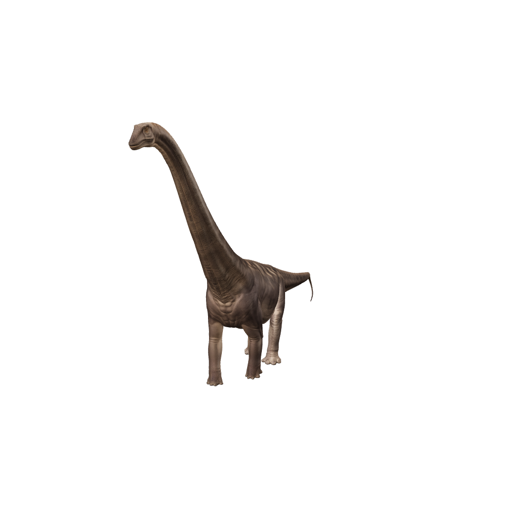 Supersaurus 3D-Modell – langgestreckter Diplodocide aus dem späten Jura