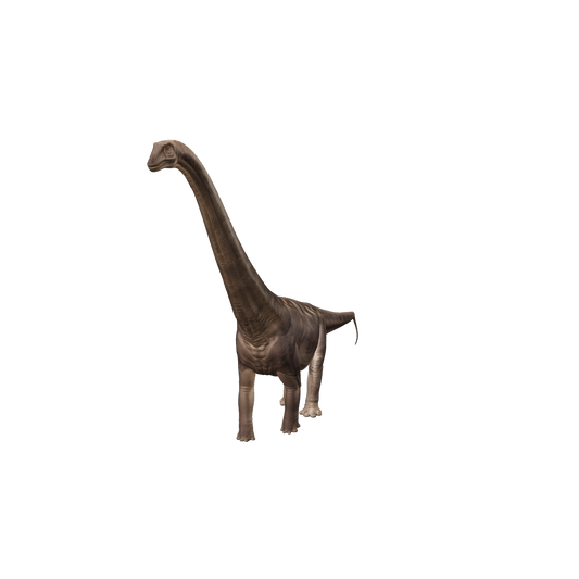 Supersaurus 3D-Modell – langgestreckter Diplodocide aus dem späten Jura