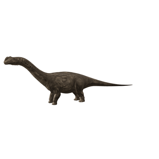 Apatosaurus 3D-Modell – interaktive 3D-Ansicht