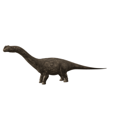 Apatosaurus 3D-Modell – interaktive 3D-Ansicht