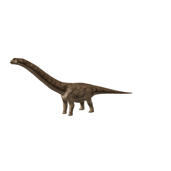 Argentinosaurus 3D-Modell – interaktive 3D-Ansicht
