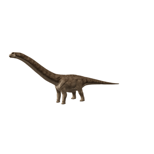 Argentinosaurus 3D-Modell – interaktive 3D-Ansicht