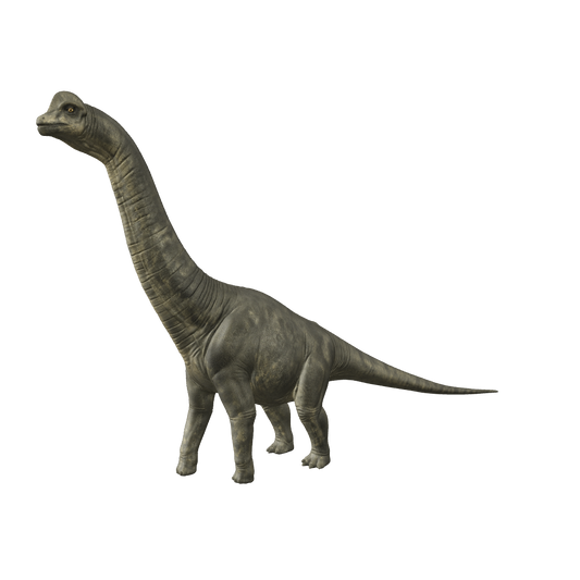 Brachiosaurus 3D-Modell – interaktive 3D-Ansicht