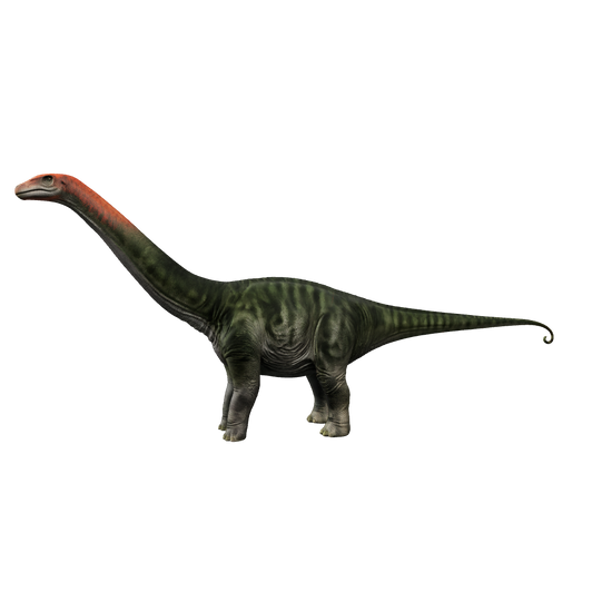 Brontosaurus 3D-Modell – interaktive 3D-Ansicht