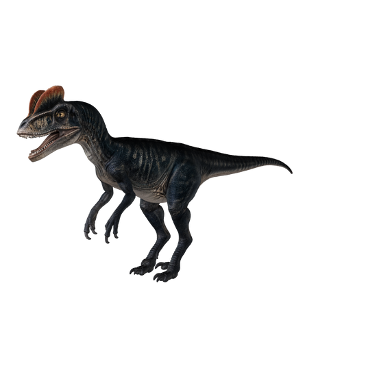 Dilophosaurus 3D-Modell – interaktive Modellansicht