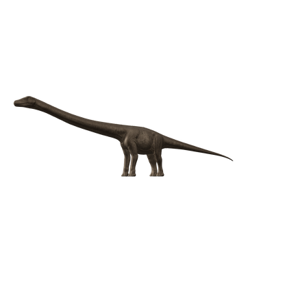 Diplodocus 3D-Modell – interaktive 3D-Ansicht