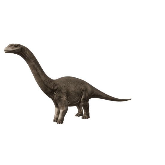 Europasaurus 3D-Modell – interaktive 3D-Ansicht