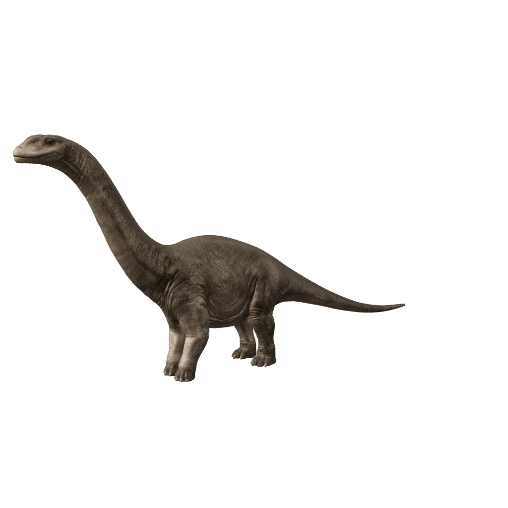 Europasaurus 3D-Modell – interaktive 3D-Ansicht