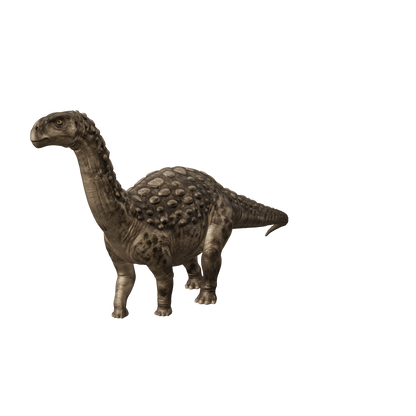 Saltasaurus 3D-Modell – interaktive 3D-Ansicht