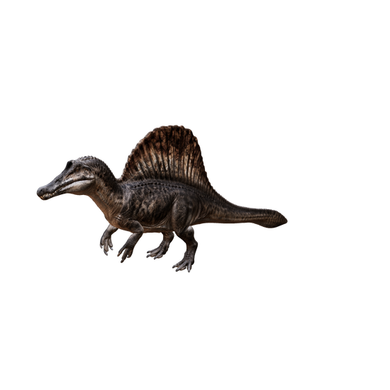 Spinosaurus 3D-Modell – interaktive Modellansicht