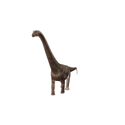 Supersaurus 3D-Modell – interaktive 3D-Ansicht