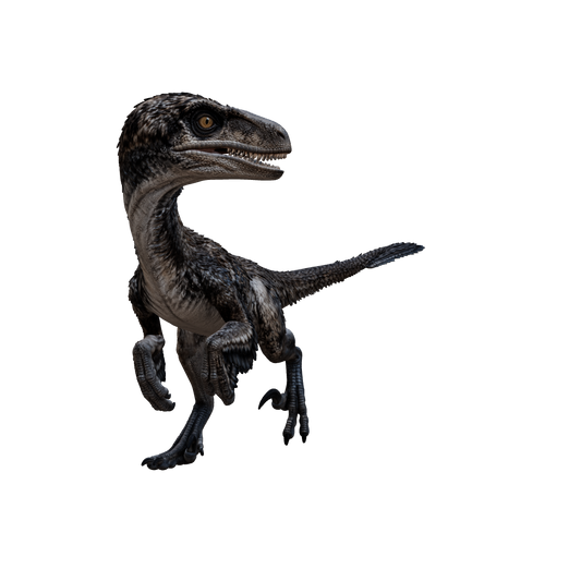 Velociraptor 3D-Modell – interaktive Modellansicht