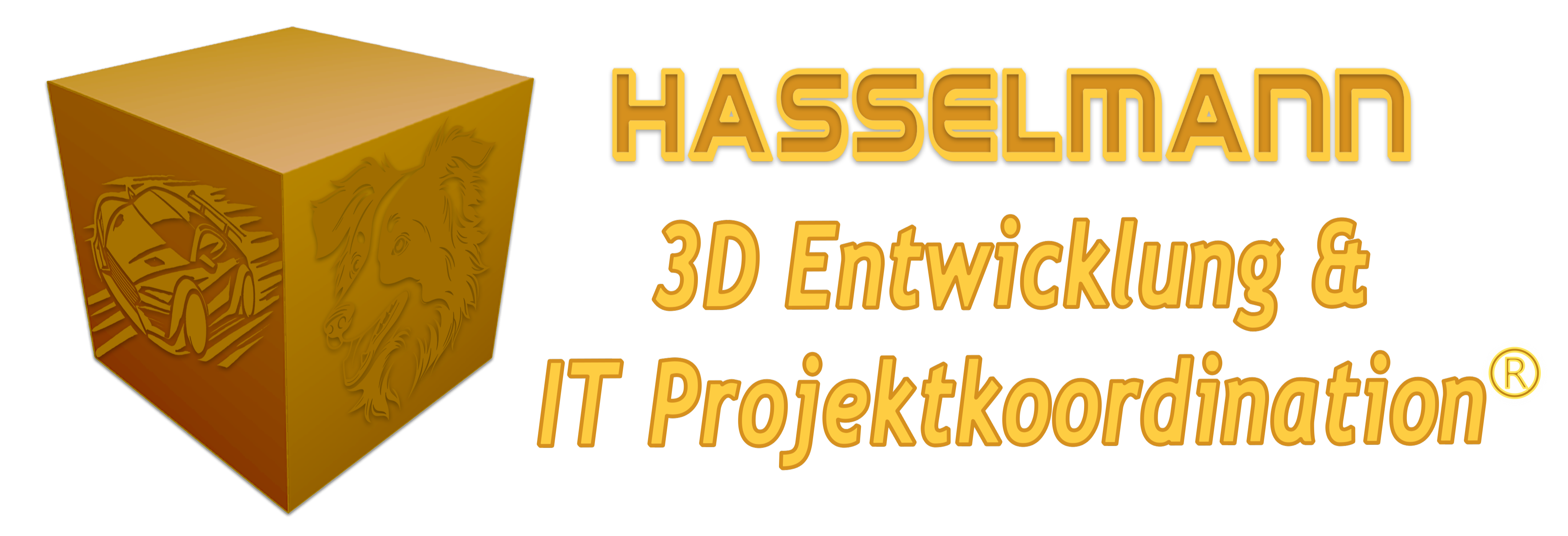 Hasselmann 3D Logo